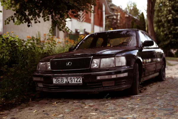 WinFest Casino App Android/iOS